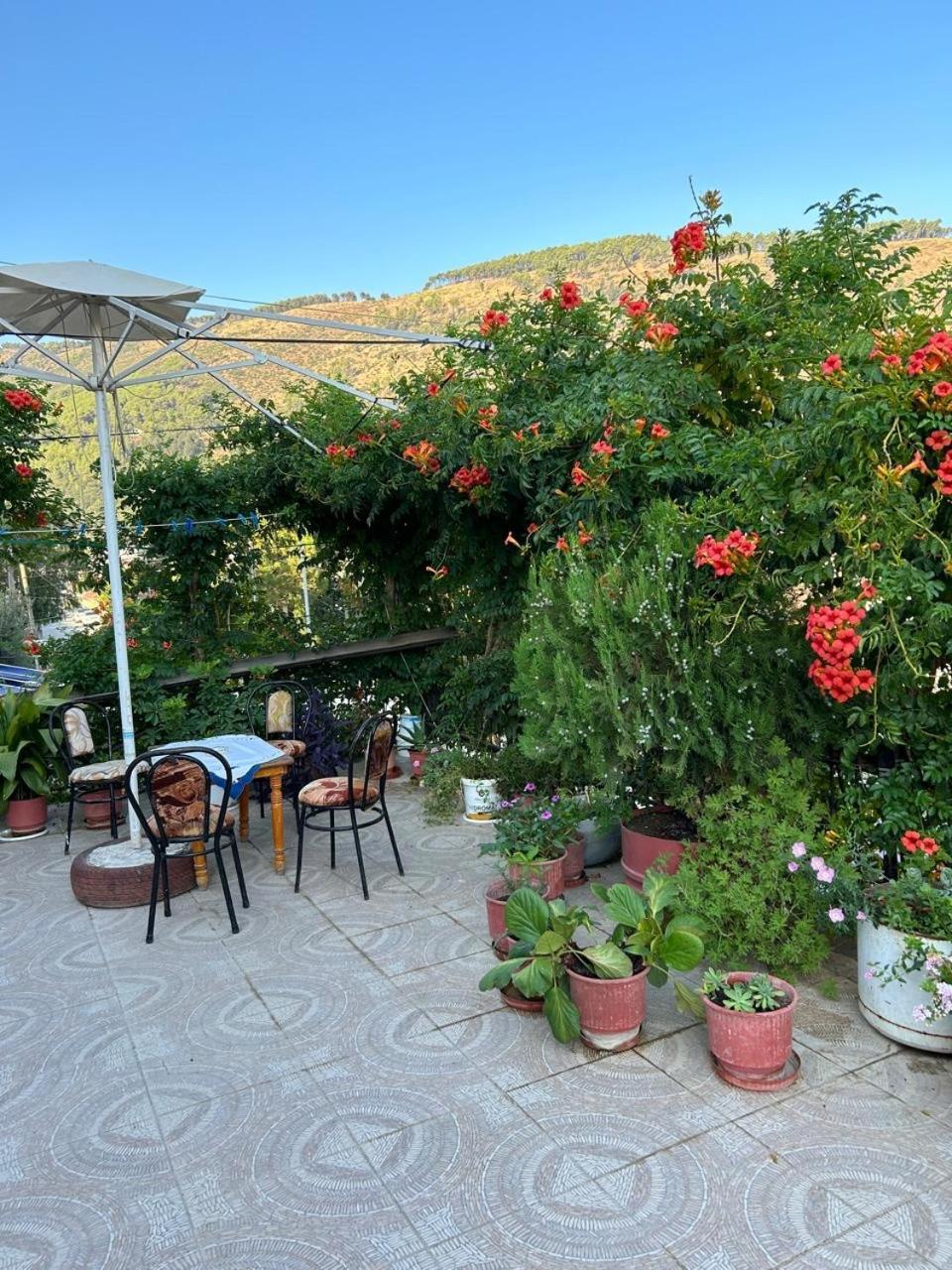 Guesthouse Katerina Берат Екстер'єр фото