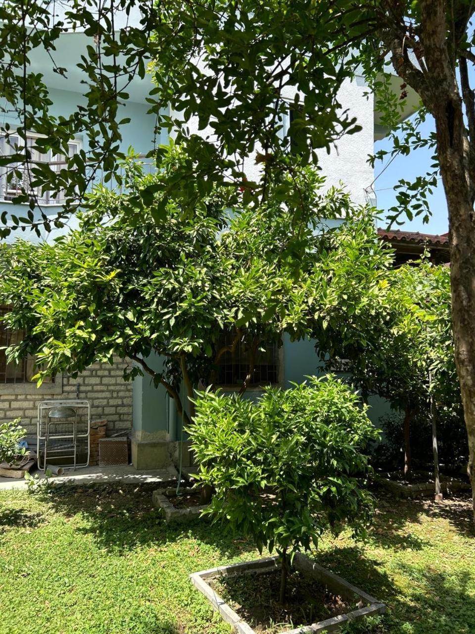 Guesthouse Katerina Берат Екстер'єр фото